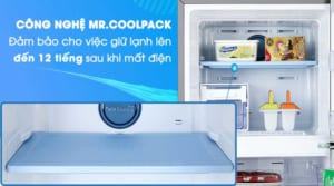 Tủ lạnh Samsung RT29K5532BY/SV