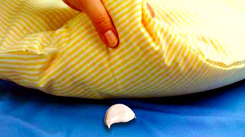 Công dụng khi đặt tỏi dưới gối ngủ