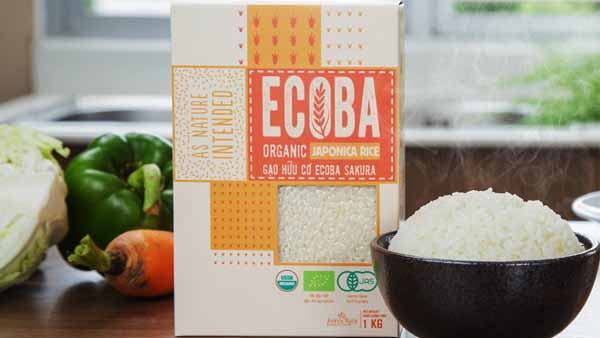 Thương hiệu gạo Ecoba của nước nào có những loại nào