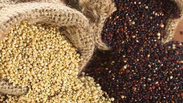 Hạt Quinoa & Lợi Ích Sức Khỏe