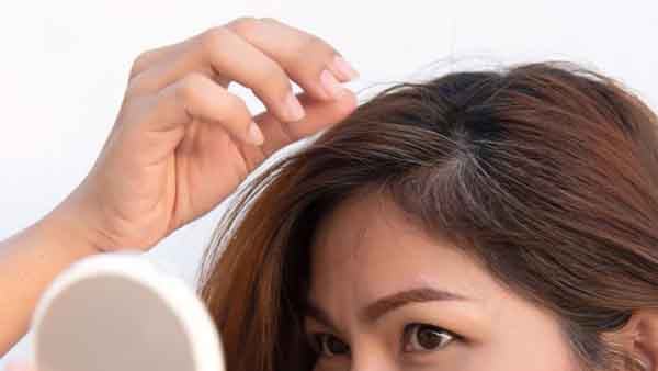 Tác hại của việc nhổ tóc bạc đến sức khỏe