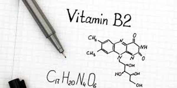 Những tác dụng của Vitamin B2