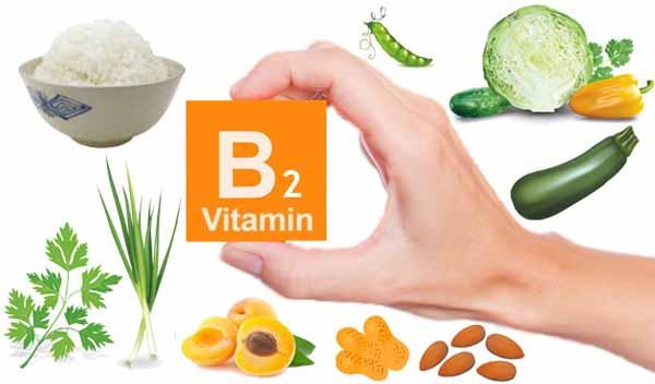 Vitamin B2 là gì và vai trò của vitamin B2 với cơ thể