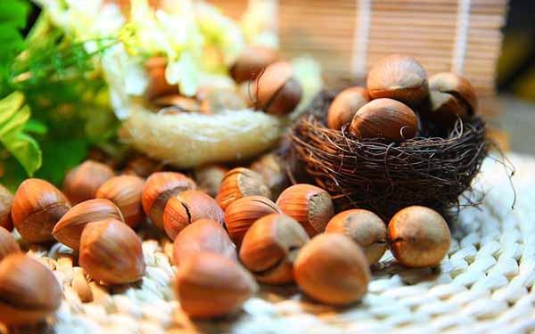Hạt Phỉ là gì? Tác dụng của hạt phí với sức khỏe