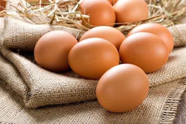 Ăn nhiều trứng có tốt không 1 tuần nên ăn mấy quả
