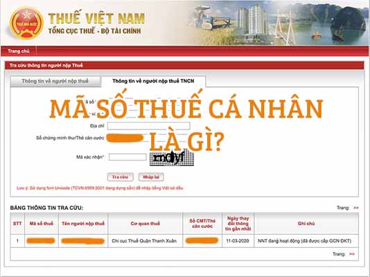 Cách tra cứu mã số thuế cá nhân mới nhất