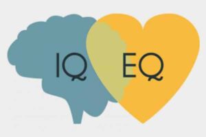 IQ và EQ là gì IQ và EQ cái nào quan trọng hơn
