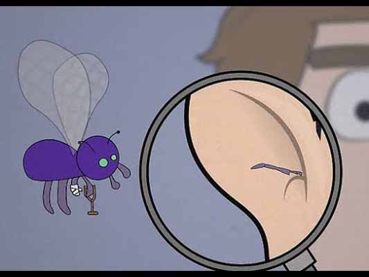 Hướng dẫn cách nhận biết và xử lý côn trùng chui vào tai